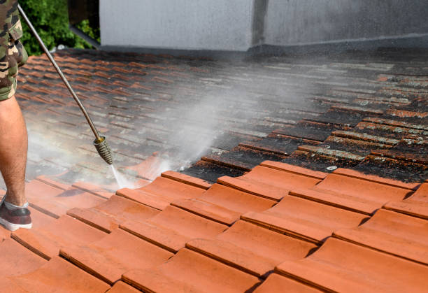 Best Roof Power Washing Services  in Oak Ridge, NJ